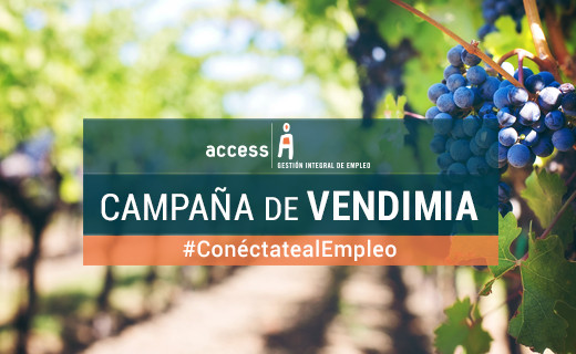 Campaña Vendimia 2019 Campaña Empleo Vendimia AgroAccess
