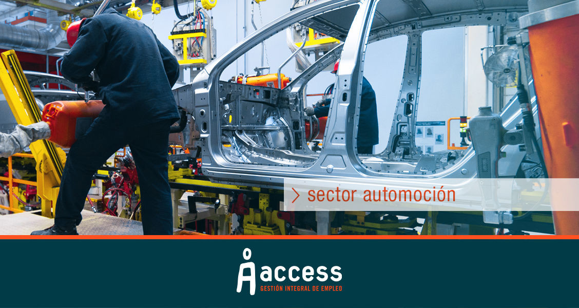 Sector Automoción Access
