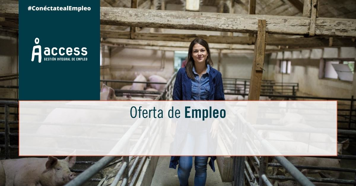 Oferta de empleo